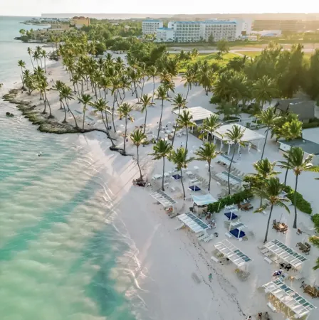 Palm-lined waterfront setting shown by the resort