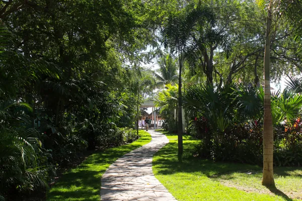 Eva Mandarina Beach Club · garden path